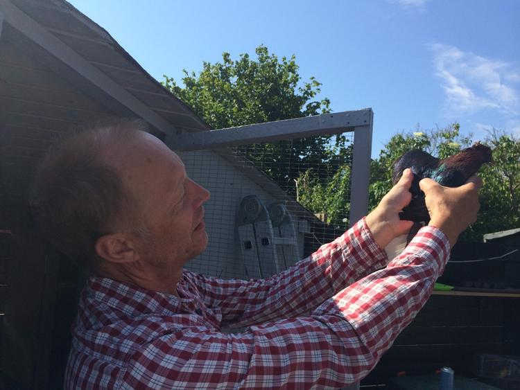 Idealist. Michael Schlølardt sender en af sine duer på en flyvetur. Han er en del af Enhedslistens bagland i Københavs sydhavn. 