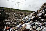 Ungdommen. Ifølge målinger er de unge meget bevidste om, hvor vigtigt det er at sortere affaldet, men når det kommer til praksis, går det knapt så let. Her er det eksempelvis kun hver tredje 20-29-årige, som sorterer metal. 