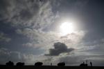 Klar. Israelske styrker nær grænsen til Gaza i går morges. 