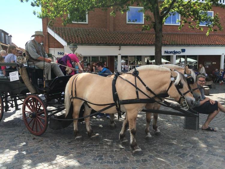 tavshed. Brosten, stokroser, gule fiskerhuse og hestevogn er en del af Venstres højborg, Ringkjøbing. Men talelyst er der ikke meget af. 