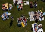 Picnictur. Nyd frokosten i det fri - bl.a. på Islands Brygge 