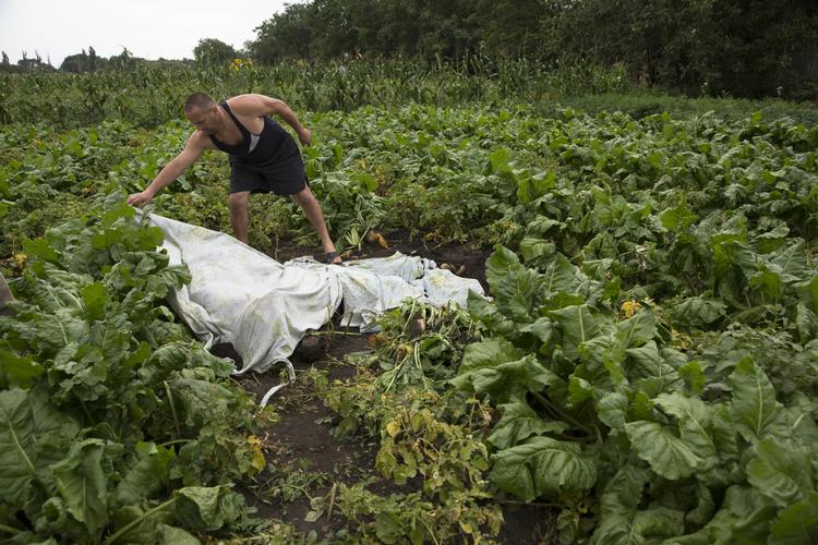 Flystyrt. Lig fra MH17-passagerer lå spredt ud over et stort område, efter at Malaysia Airlines-flyet i torsdags styrtede til jorden i Østukraine. Ifølge CNN oplevede en ukrainsk familie, at et lig ramlede ned gennem taget på deres hus. 