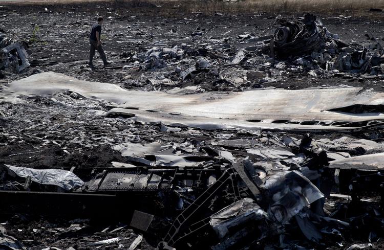 Styrt. En mand går i det afbrændte vragtrester efter MH17 