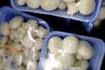 farlige. Hvis man allerede har købt  champignonerne og spiser dem, er der risko for at blive smittet med campylobacter, kvalme, mavesmerter, diarre, feber og opkast til følge. (Arkiv) 