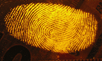 PRIVATLIV. Canvas fingerprints udbredes lige nu som en erstatning for cookies, når websider vil spore din aktivitet på nettet, og de er temmelig svære at blokere. (Foto: JohnRamboPL/Wikipedia Commons) 
