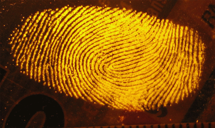 PRIVATLIV. Canvas fingerprints udbredes lige nu som en erstatning for cookies, når websider vil spore din aktivitet på nettet, og de er temmelig svære at blokere. (Foto: JohnRamboPL/Wikipedia Commons) 