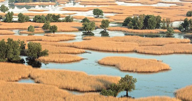Imponerende. En betydelig del af Kopacki rit naturreservatet ligger under vand en tredjedel af året. 
