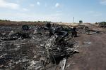 Flystyrt. Der er gået otte dage, siden Malaysia Airlines' MH17 styrtede ned i det østlige Ukraine. 