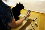 sukkersyge. Kattene har, som tilfældet er hos mennesker, som regel fået diabetes 2, fordi de får for lidt motion og er blevet overvægtige af for meget mad. 
