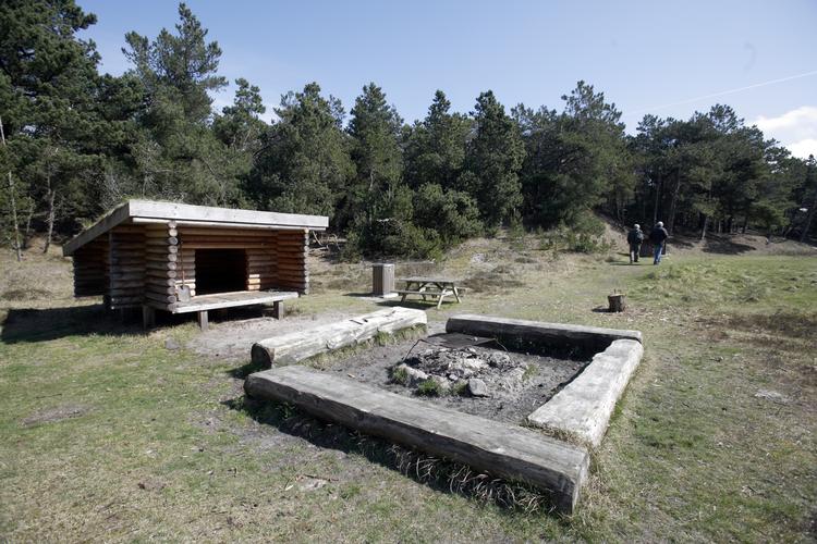Friluftsliv. Det er blevet populært at rulle soveposen ud på shelter-pladser - som her i Lodbjerg Klitplantage i Nationalpark Thy. 