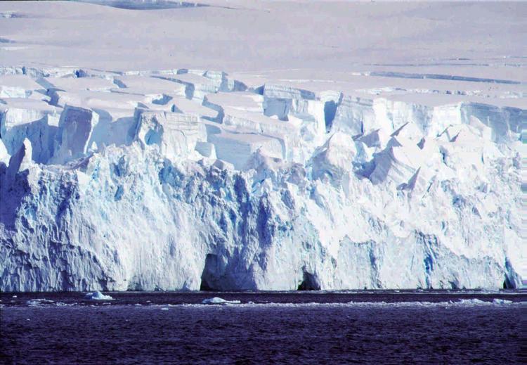 Først. Roald Amundsen og hans mænd nåede Sydpolen 14. december 1911, men var blevet overhalet indenom af blyforurening fra Australien. 