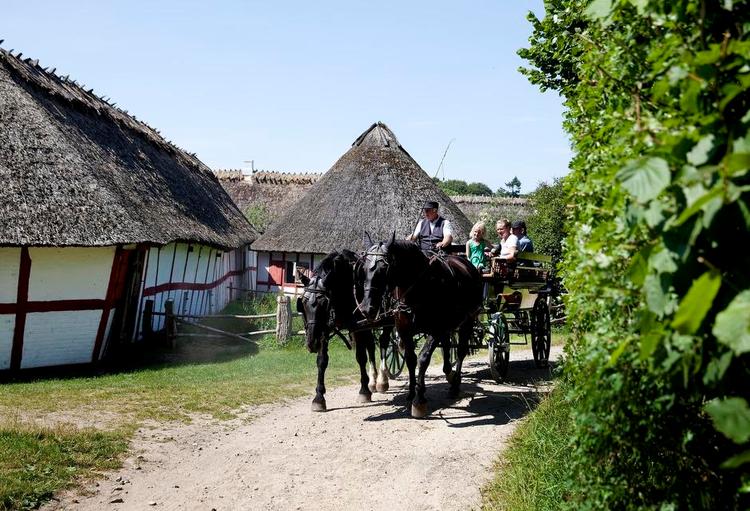 Hist hvor vejen. En heste vognstur til 20 kroner tager publikum med rundt i hele det 12 hektar store naturområde, der tilhører Den Fynske Landsby. 