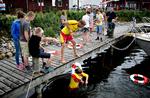 indland_livredder