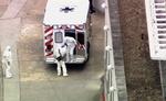 ebolapatient. En ambulance ankommer til Emory Universitetshospital i Atlanta, hvor en specialstue står klar til at behandle lægen Kent Brantly, der er smittet med ebola. Kent Brantly (til højre) var selv i stand til at gå ud af ambulancen og ind på hospitalet. 