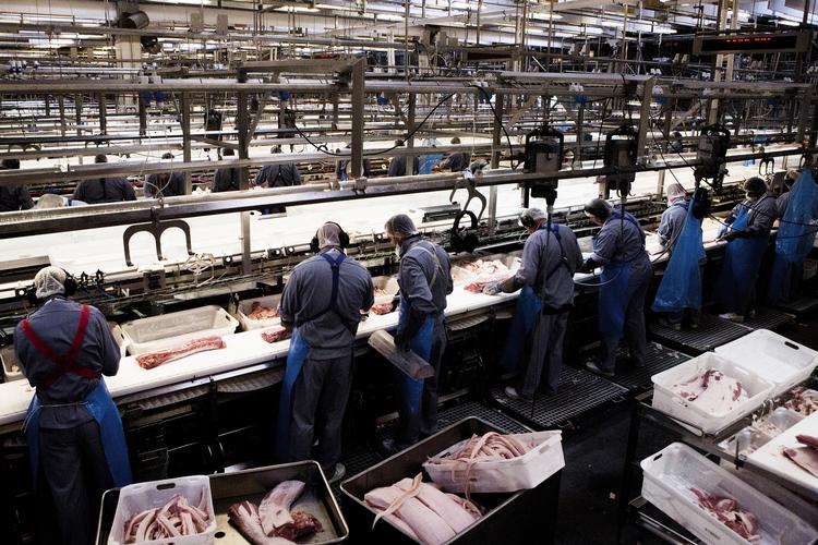 fyresedler. Slagteriet i Blans er blandt dem, hvor Danish Crown skærer i bemandingen. Det sker, selv om slagteriet overtager en del af produktionen fra slagteriet i Faaborg. 