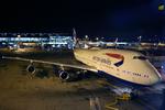 Ebola. Den dødelige sygdom får nu British Airways til at indstille flyvningen til Sierra Leone og Liberia frem til 31. august. 