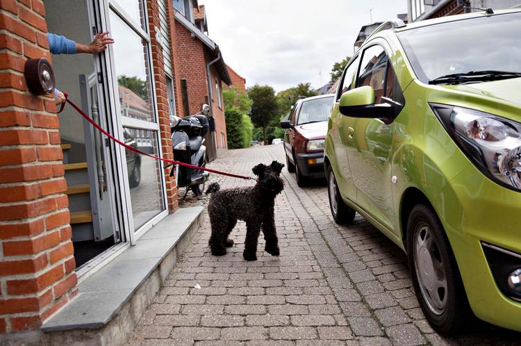(U)FRED. Normalt er Lemvig en rolig købstad med turister, havneliv og ny skatebane, som i går havde besøg af Freja og Malte (øverst). Men nede i Frederiksgade blev en 77-årig kvinde dræbt i weekenden. Det gør hendes overbo (nederst med hund) utryg. Fotos: Astrid Dalum 