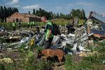 STYRT. Kampene mellem de prorussiske separatister og den ukrainske hær i det østlige Ukraine er nu så voldsomme, at internationale eksperter endnu engang må opgive deres arbejde på det sted, hvor et passagerfly fra Malaysia Airlines styrtede til jorden. 
