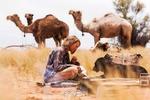 DROMEDARDAMEN. Robyn Davidson (Mia Wasikowska) foretrækker sine fire dromedarer og labradoren Diggity frem for menneskeligt selskab. »Jeg vil bare gerne være alene«, siger hun. 