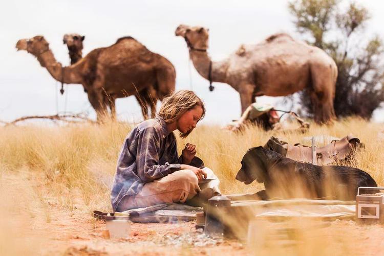 DROMEDARDAMEN. Robyn Davidson (Mia Wasikowska) foretrækker sine fire dromedarer og labradoren Diggity frem for menneskeligt selskab. »Jeg vil bare gerne være alene«, siger hun. 