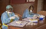Ebola. Særligt Liberia, Sierra Leone og Guinea er hårdt ramt af virussen. 