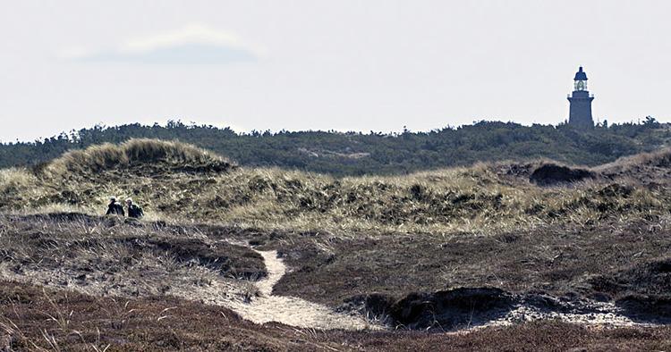 Vandrested. Lodbjerg Klitplantage ligger lidt nord for Agger og er en del af Nationalpark Thy. I baggrunden ses Lodbjerg Fyr. 