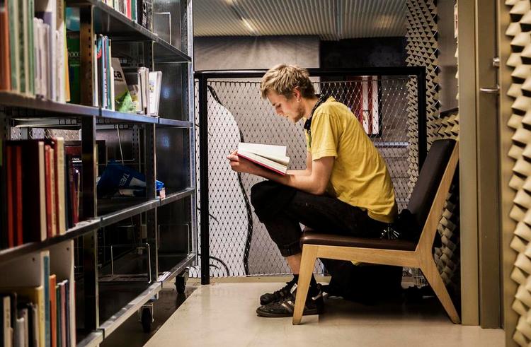 NICHEKULTUR. Bibliotekerne har fået skyld for at gemme finkulturen i fjerne hjørner og købe stort ind af bestsellere, men ifølge ny analyse lever bibliotekerne op til deres ansvar. 