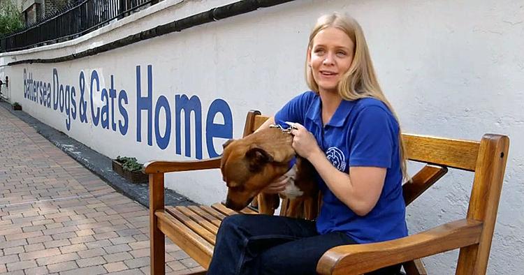 Kælent. 'Paws and Relax on board' hedder British Airways nye kanal om bord på selskabets langdistanceflyvninger. Her kan du møde et utal af hunde og katte - som det ses i dette billede fra British Airways' YouTube-kanal. 