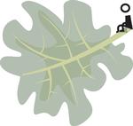 Bæredygtighed. Går du op i klima og bæredygtighed hvad angår din mad, så er Copenhagen Cooking en madfestival, der kan have din interesse. 