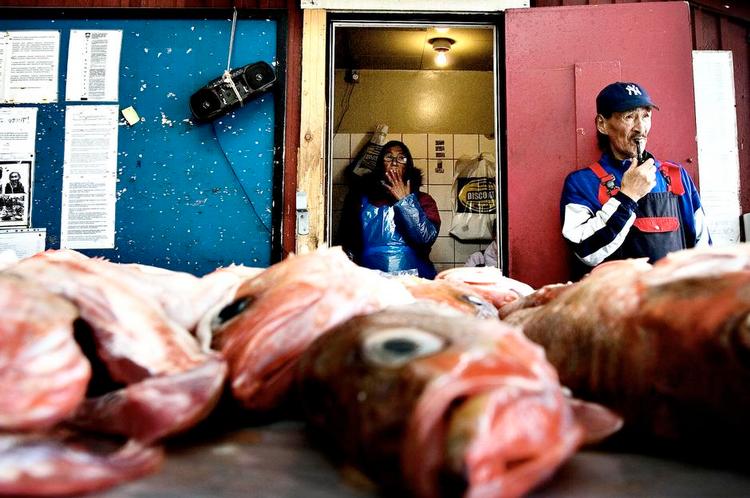 Godt. I hvert fald for Grønland, hvor fisk og rejer står for 90 procent af valutaindtjeningen. Her er det rødfisk, der sælges ved havnen i Nuuk. 