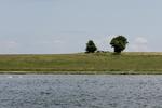 Naturperle. Landskabet omkring  Roskilde Fjord kan blive Danmarks fjerde nationalpark. 