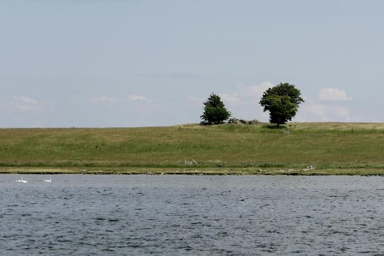 Naturperle. Landskabet omkring  Roskilde Fjord kan blive Danmarks fjerde nationalpark. 