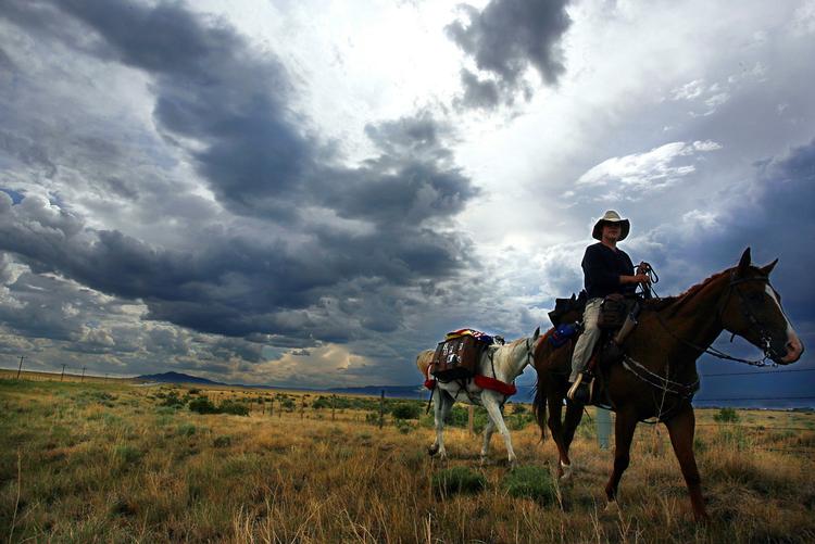 COWBOYLAND. Philipp Meyers roman følger en familie fra Texas’ ungdom og helt frem til vort årtusinde, hvor der stadig findes cowboys. 