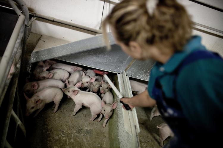farligt. Selv om MRSA ikke nødvendigvis er farligt for det smittede barn selv, kan et besøg hos en syg slægtning bagefter få fatale konsekvenser, hvis vedkommende bliver smittet. 