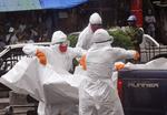 Over 1900 er døde af Ebola, siger lederen af FN'S sundhedsorganisation, WHO, Margaret Chan. Her forsøger sundhedsarbejdere at eliminere smitten i Liberia. 