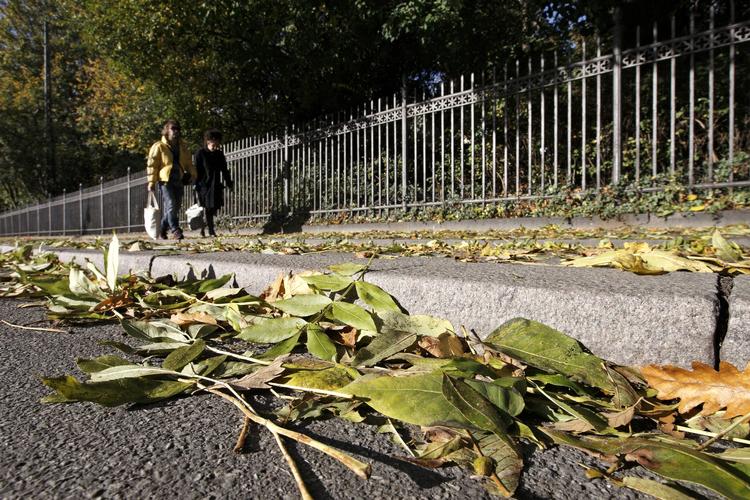 Nedfaldne gule blade bliver snart en del af vejrdagen. Når weekenden er overstået kommer efteråret, forsikrer meteorologerne på DMI. 