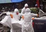 Støtte. Med 20 millioner kroner vil Danmark støtte bekæmpelse af ebola i Vestafrika. Verdenssundhedsorganisationen (WHO) vurderer, at der skal ydes 3 milliarder kroner på et internationalt plan. 