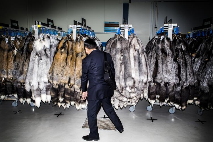 populært. Kineserne elsker danske pelse. Det ved de hos Kopenhagen Fur, som sælger skind for milliarder af kroner til kineserne. 