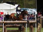 fejlvurdering. Peter Flarup og Calista E når ikke ud over forhindring nr. 8 på terrænbanen ved Badminton Horse Trials i England i maj, der er et af militarysportens sværeste stævner. Parret styrtede, og selv om det så voldsomt ud, er både hest og rytter igen friske og klar til VM. At en så garvet rytter som Peter Flarup kan komme i så store problemer, viser, hvor svær sporten er på højeste niveau, og bl.a. det har fået Dansk Ride Forbund til holde ellers VM- kvalificerede ryttere hjemme. Arkivfoto: Steve Parsons/AP 