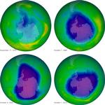 POSITIVT. Det er satellitbilleder som disse, der gør forskerne optimistiske. Øverst til venstre ser vi ozonlaget i 1979, øverst til højre i 1989, nederst til venstre i 2006, og nederst til højre har vi 2010. 