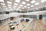 Samlende. Biblioteksrummet samler studerened og giver dem en boglig identitet, selv om der er mange andre medier i huset. 