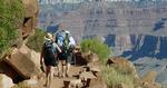 Attraktion. USA's berømte Grand Canyon-nationalpark har hvert år over fire millioner besøgende. 
