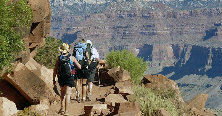 Attraktion. USA's berømte Grand Canyon-nationalpark har hvert år over fire millioner besøgende. 