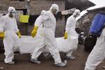 Epidemi. Flere end 2.400 mennesker er døde som følge af ebola i Vestafrika i det aktuelle udbrud. 