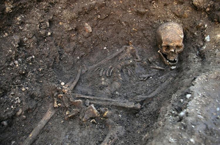 Undersøgt. To hug i det bagerste af Kong Richard III hoved har formentlig taget livet af ham i slaget ved Bosworth. Det viser retsmedicinske undersøgelser af det mere end 500 år gamle skelet. 