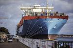 stort. 'Majestic Maersk' besøgte København sidste år, og tusinder af mennesker lagde vejen forbi for at se den 399 meter lange kæmpe. 