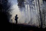 Skovbrand. Et område på 287 kvadratkilometer nord for Sacramento i Californien bliver lige nu hærget af  skovbrand. 