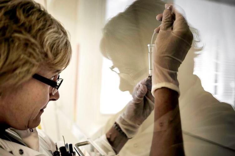 Omvej. Mange firmaer ser Canada som et brohoved til USA. Som Leo Pharma, der nu gør USA til sit største marked efter 25 år i Canada. »At starte i USA er en stor mundfuld for alle virksomheder«, siger Leo Pharmas hr-chef Christian Scheuer og forklarer, at Canada er nemmere, fordi landet minder om Danmark. 