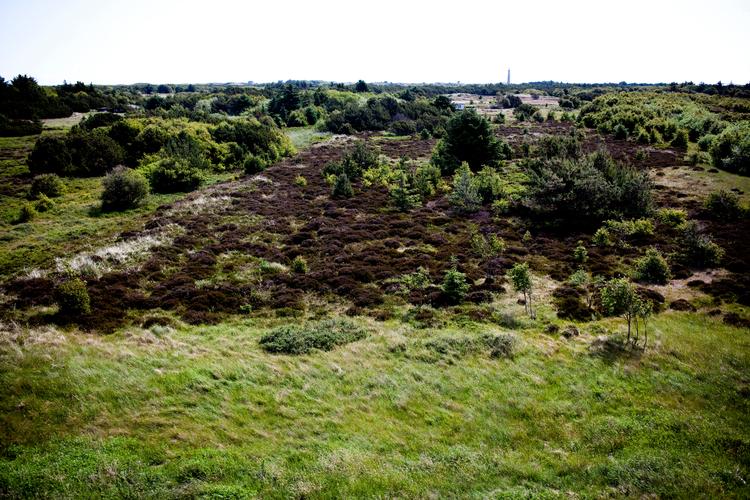 Naturfond. Det har været en lang, sej kamp. Men parterne har endelig fundet hinanden. 