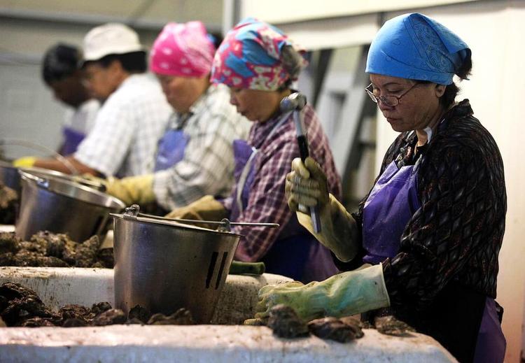 Lukket. Olieudslippet i Den Mexicanske Golf medførte i 2010 lukning af det 134 år gamle østersforetagemde P&amp;J Oyster Co. i New Orleans. 